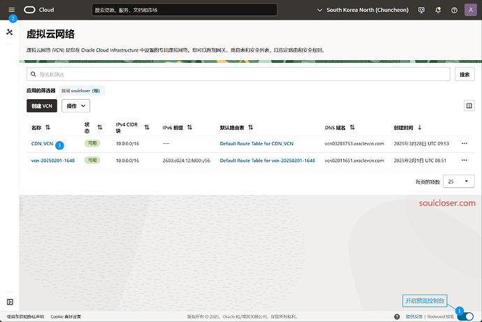 (由波波论坛AI 生成标题)这张截图展示了Oracle Cloud Infrastructure的虚拟云网络 (VCN) 管理界面,列出了两个VCN (CDN_VCN 和 vcn-20250201-1648) 以及它们的 IPv4 CIDR、IPv6 前缀、默认路由表、DNS域名、创建时间和状态等信息。