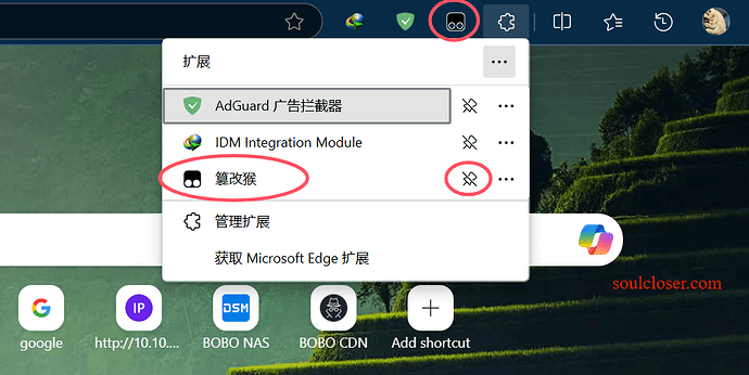 (Título generado por AI del Foro Bobo) En la lista de extensiones del navegador Microsoft Edge, se muestra la extensión "篡改猴", y se puede hacer clic en el botón de la derecha para cerrarla.