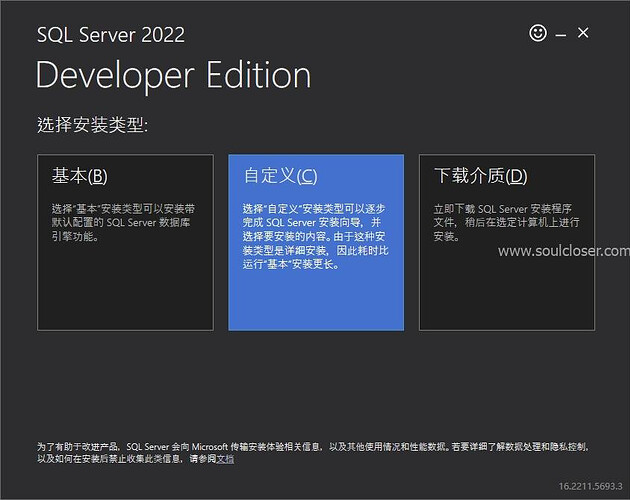 选择SQL Server 2022安装类型