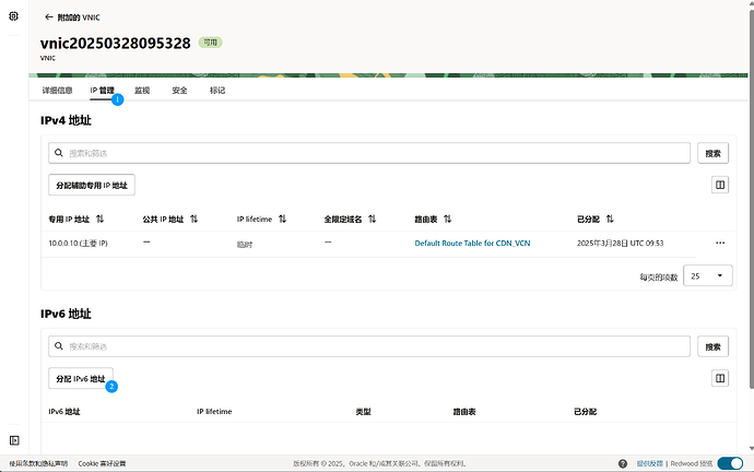甲骨文VNIC 分配IPv6地址