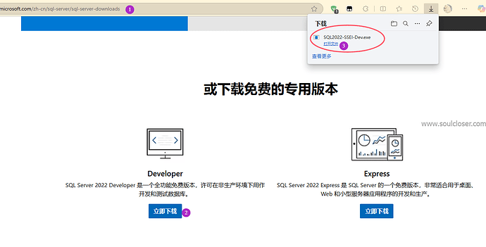 下载SQL2022-SSEI-Dev.exe