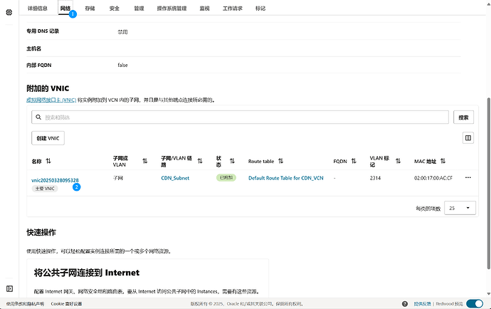 甲骨文添加VNIC IPv6地址