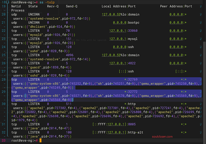 查看eve-ng qemu telnet端口
