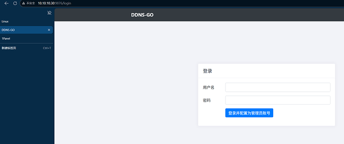 DDNS-GO配置