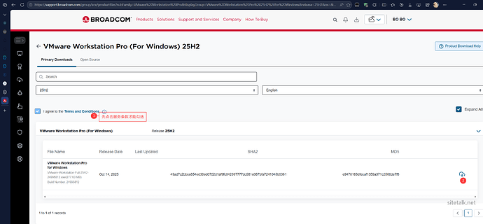 下载安装最新的VMware workstation pro